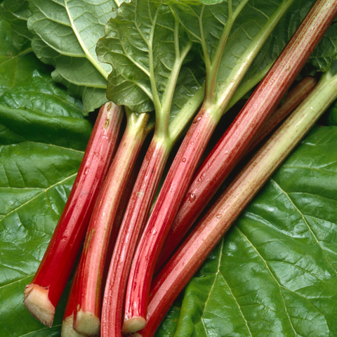 Nieuw in ons assortiment