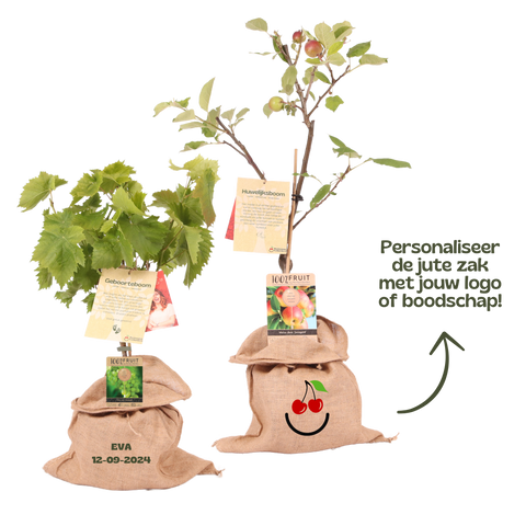 Huwelijksboom, appelboom