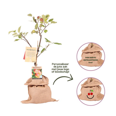 Geboorteboom, druivenstruik