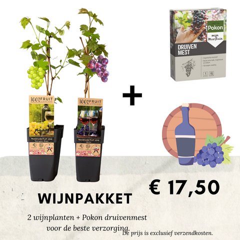 Moederdag cadeau DIY- 2 wijnplanten + Pokon druivenmest, 1kg