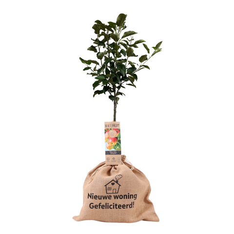 Bedrukte jute zak