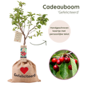 Cadeauboom, kersenboom cadeau voor een huwelijk, gepersonaliseerd met de tekst Gefeliciteerd ❤️’