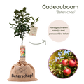 Appelboom cadeau 'Beterschap' in bedrukte jute zak.