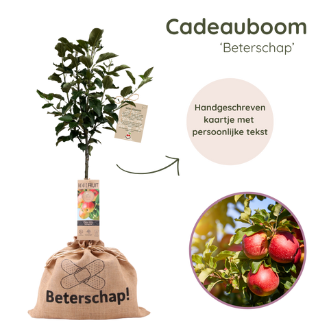 Appelboom cadeau 'Beterschap' in bedrukte jute zak.