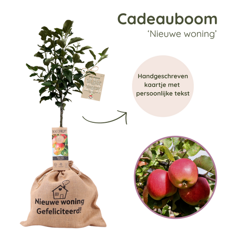 Appelboom cadeau in jute zak ‘Nieuwe woning, gefeliciteerd’