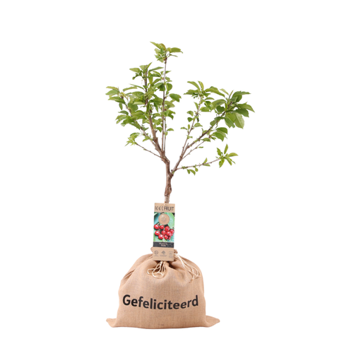 Bedrukte jute zak