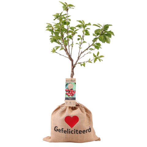 Bedrukte jute zak