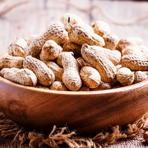 Pinda's geoogst van de Arachis Salomat pindaplant