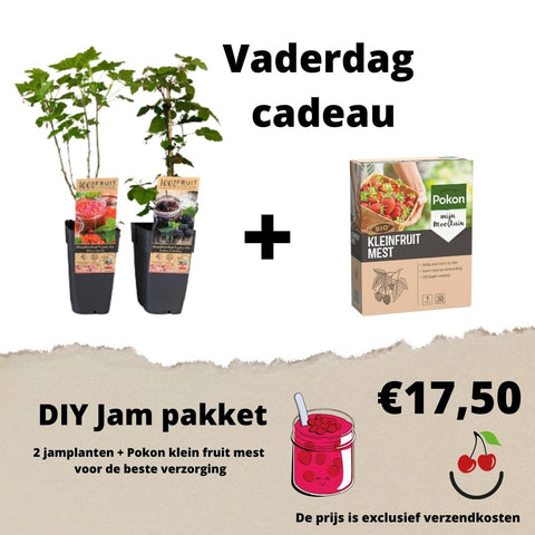 Vaderdag cadeau DIY- 2 jamplanten + Pokon klein fruit mest
