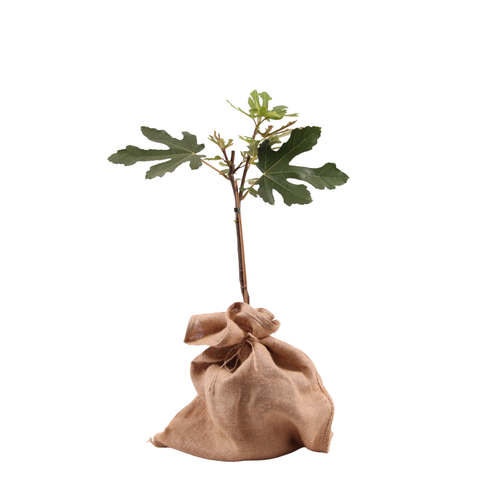 Bedrukte jute zak