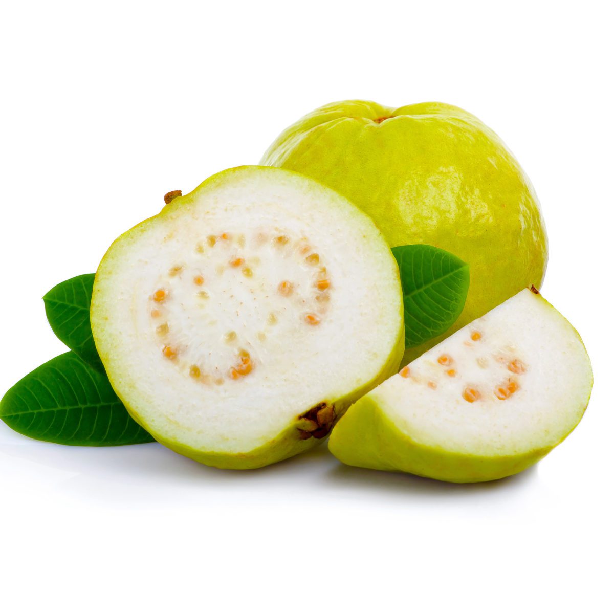 Guaveplant Tropische fruitplant